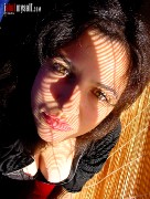 curvilinear_002.jpg